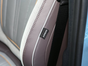 2023DM-i 100KM Ş п؅^(q)