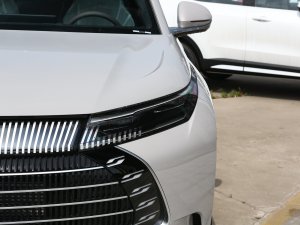 2023DM-p 175KM Ş (ji)^