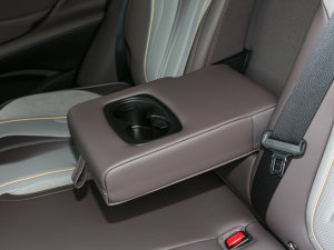 2023DM-p 175KM (q)Ş 