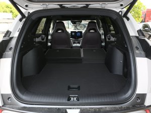 2023DM-p 175KM (q)Ş g