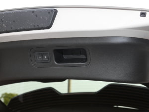 2023DM-p 175KM (q)Ş g