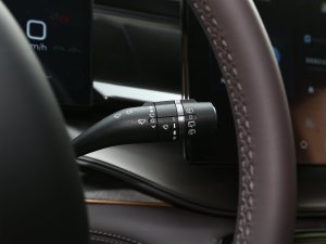 2023DM-p 175KM Ş п؅^