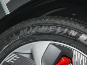 2023DM-p 175KM (q)I(lng) ݆̥Ʒ