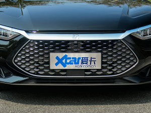 2022款DM-i 242KM旗舰型 中网
