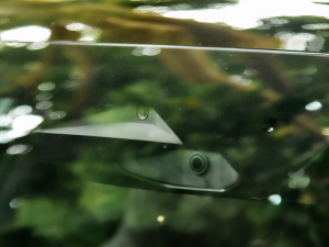 2022DM-i 242KMŞ (ji)^