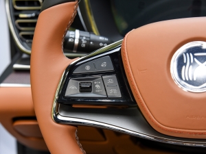 2022DM-i 121KM п؅^