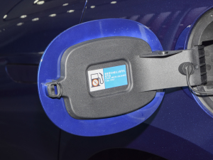 2022DM-i 121KM (ji)^