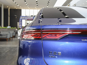 2022DM-i 121KM (ji)^