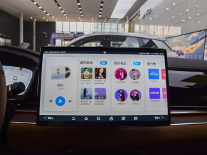 2022DM-i 121KM п؅^