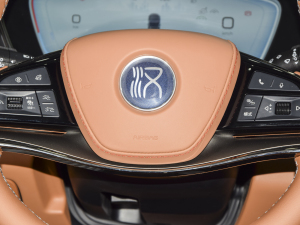 2022DM-i 121KM п؅^(q)