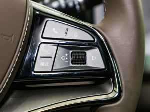 2022DM-i 121KMs п؅^