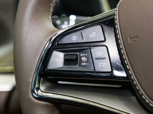 2022DM-i 121KMs п؅^