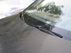 2022EV (chung) 715KMǰ(q)Ş ˢ