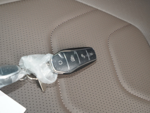 2022EV (chung) 715KMǰŞ ܇耳