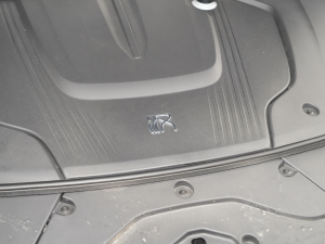 2022EV (chung) 715KMǰŞ 