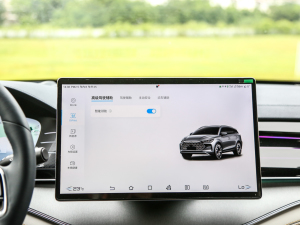 2022DM-p 215KM Ş п؅^