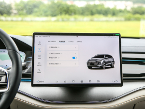 2022DM-p 215KM Ş п؅^