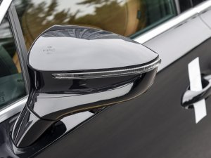 2022DM-i 252KM  (x)(ji)^