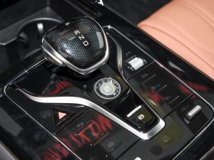 2022DM-i 252KM  п؅^(q)