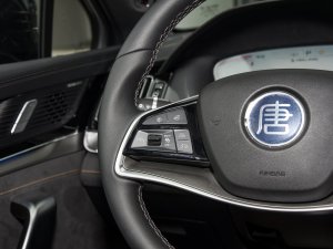 2022DM-i 252KM  п؅^(q)