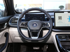 2023܊ DM-i 120KMԽ P