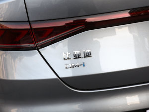 2023܊ DM-i 120KMI (ji)^