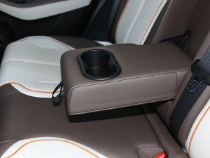 2023܊ DM-i 120KMI g