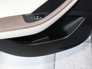 2023܊ DM-i 120KMI Tg