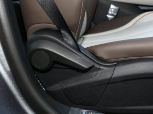 2023܊ DM-i 120KMI g