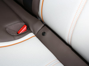 2023܊ DM-i 120KMI g