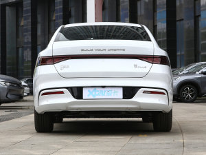 2023款冠军版 510KM卓越型 正后	