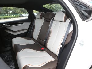 2023款冠军版 510KM卓越型 后排座椅