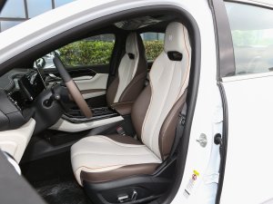 2023款冠军版 610KM卓越型 主驾驶座椅