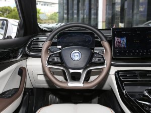 2023款冠军版 610KM卓越型 方向盘