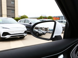 2023款冠军版 420KM超越型 细节外观