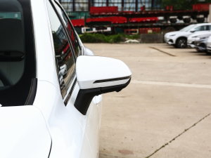 2023款冠军版 420KM超越型 细节外观