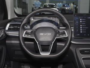 2023܊ DM-i 120KMF P