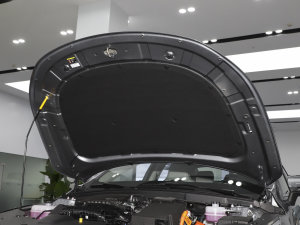 2023܊ DM-i 120KMF l(f)(dng)C(j)œ