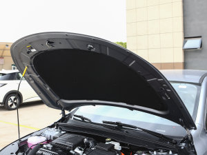 2023܊ DM-i 55KMA lәCœ