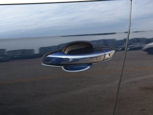 2023܊ DM-i 55KMF {T