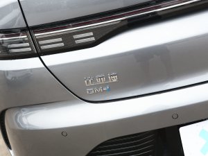 2023܊ DM-i 120KMs ^