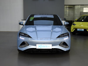2023款冠军版 700km 尊贵型 正前