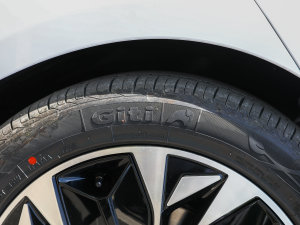 2023款冠军版 550km 精英型 轮胎品牌