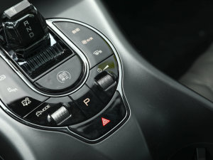 2023款冠军版 550km 精英型 音响调节