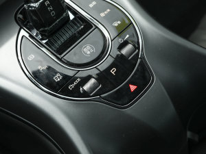 2023款冠军版 550km 精英型 驻车制动器