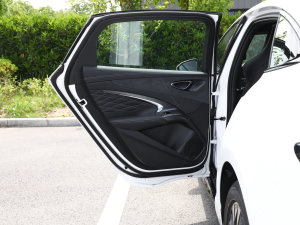 2023款冠军版 550km 精英型 左后车门