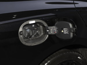 2023DM-p (zhn) (x)(ji)^