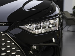 2023DM-p (zhn) (x)(ji)^