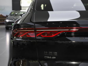 2023DM-p (zhn) (x)(ji)^