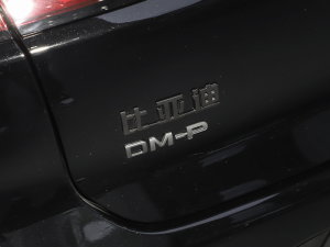 2023DM-p (zhn) (x)(ji)^